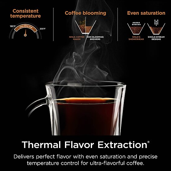 Ninja Hot & Iced Xl Drip Coffee Maker