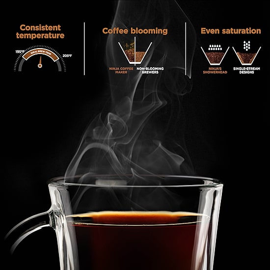 Ninja Hot & Iced Xl Drip Coffee Maker