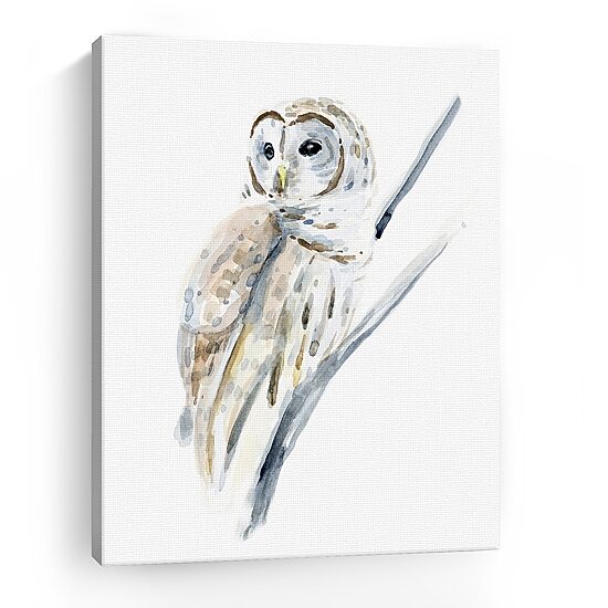 Lumaprints Arctic Owl I Giclee Canvas Art