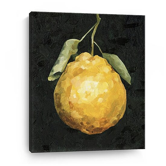 Lumaprints Dark Lemon Ii Giclee Canvas Art