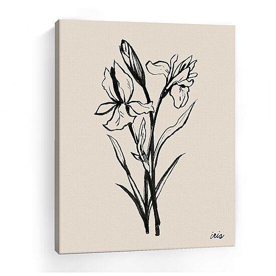 Lumaprints Iris Sketch I Giclee Canvas Art