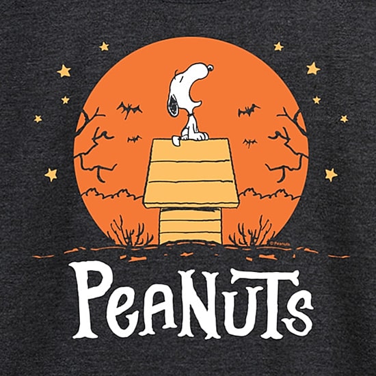 Peanuts Snoopy Dog House Halloween Womens Round Neck Long Sleeve Regular Fit Snoopy Graphic T-Shirt