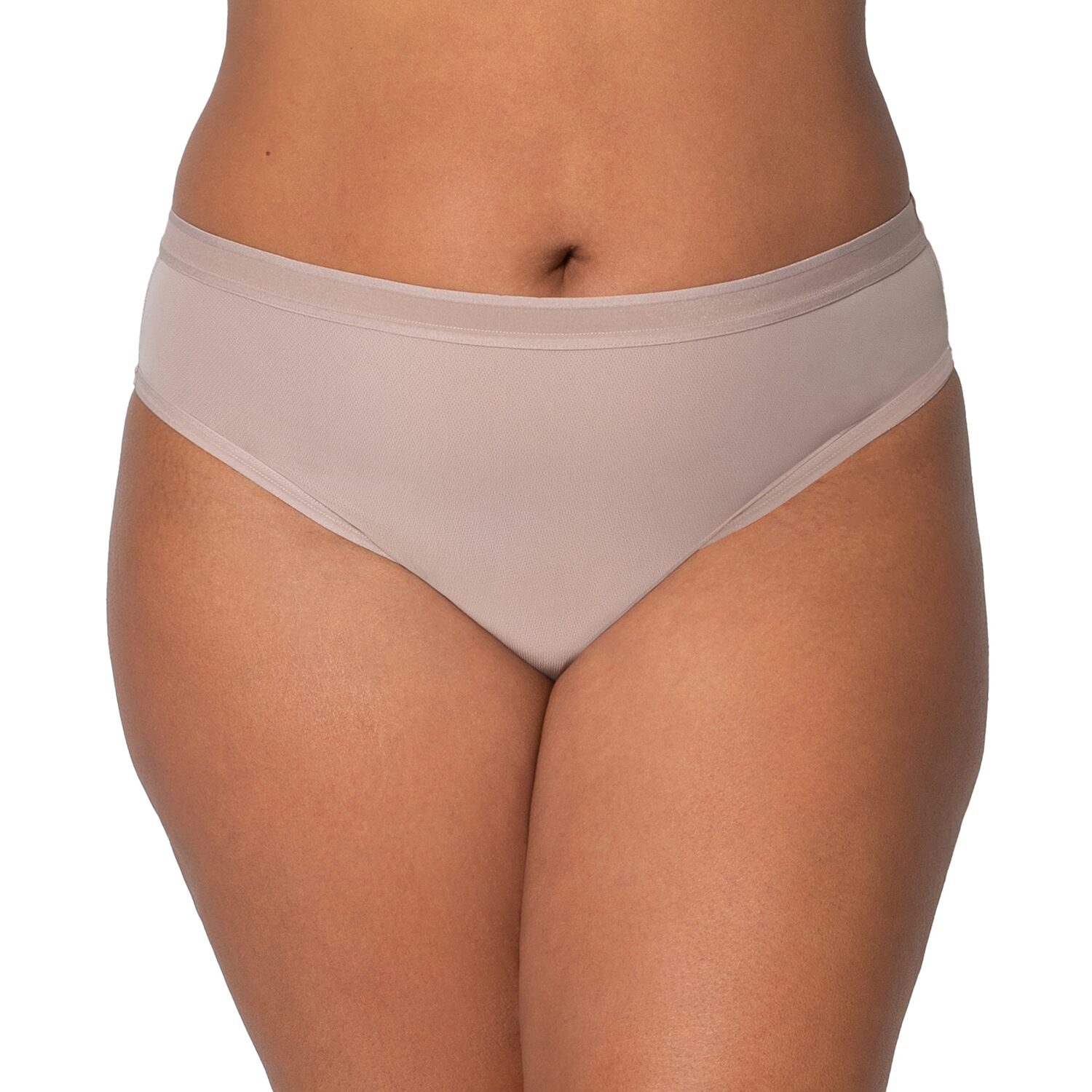 Curvy Couture Sheer Mesh High Cut Brief-1313