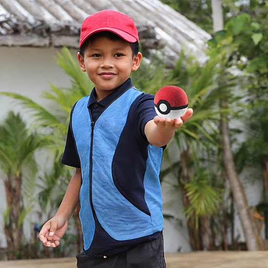 Poke Ball Pillow Pet