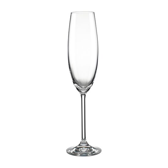 Lenox Tuscany Classics 6-pc. Champagne Flute