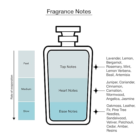 Drakkar Noir Eau De Toilette