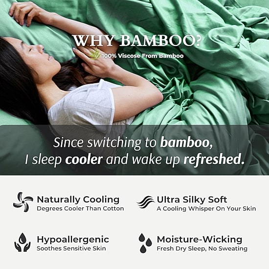 BedVoyage 300tc Rayon from Bamboo Pillowcases