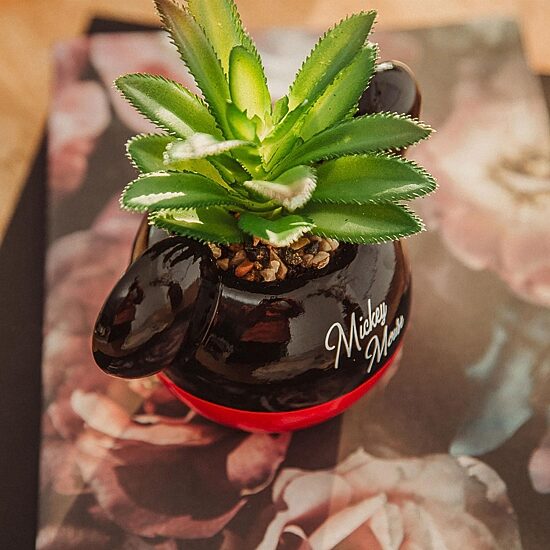 Disney Collection Mickey Mouse Mini Planter Planter