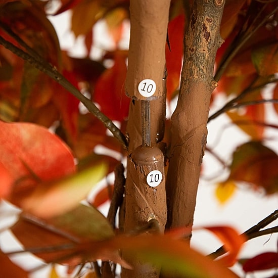Nearly Natural 9' Orange Autumn Ficus Indoor Artificial Tree