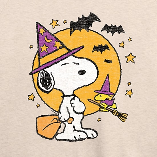 Snoopy Woodstock Witch Halloween Womens Boat Neck Long Sleeve Regular Fit Snoopy Graphic T-Shirt