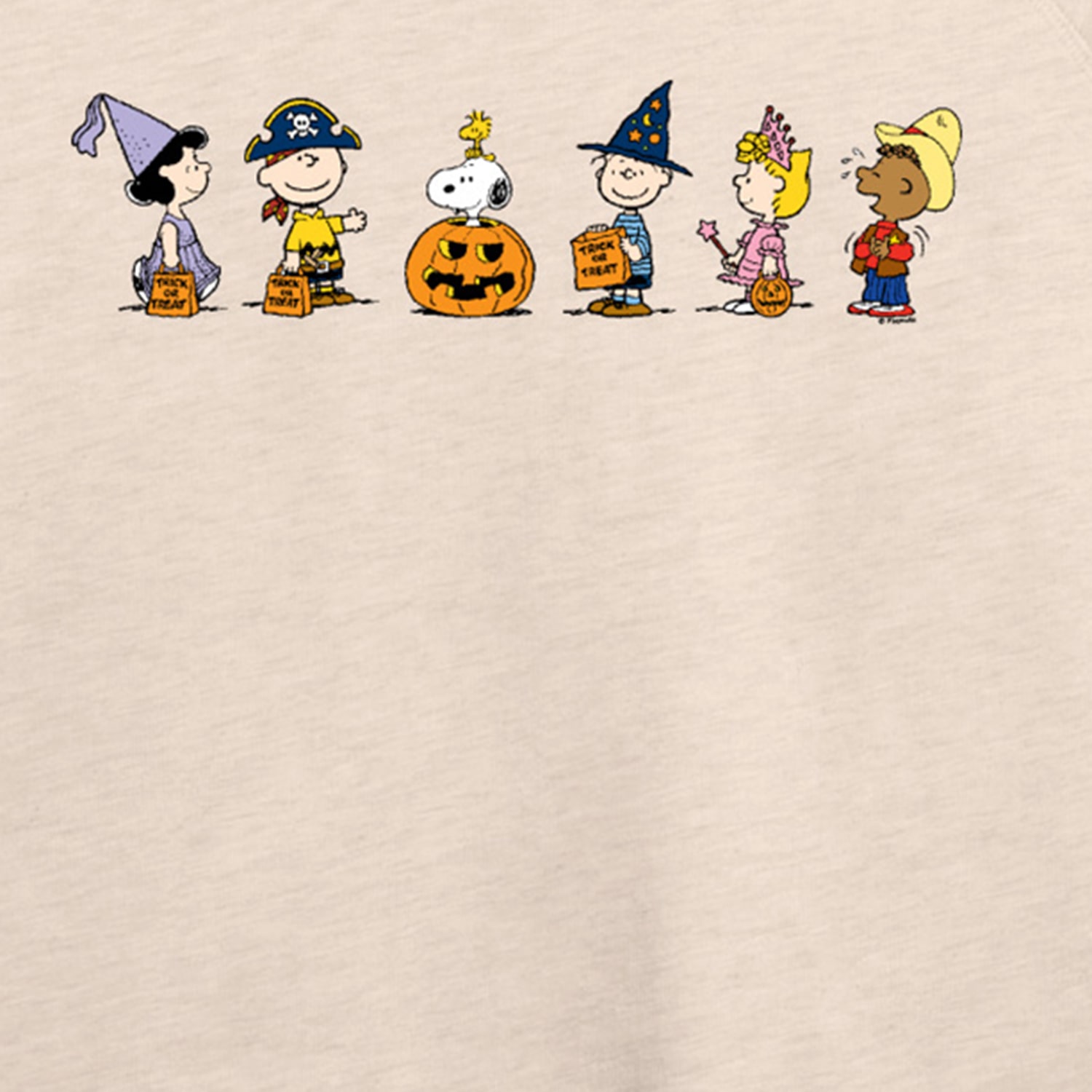Peanuts Halloween Trick Or Treat Costumes Womens Round Neck Long Sleeve Regular Fit Graphic T-Shirt