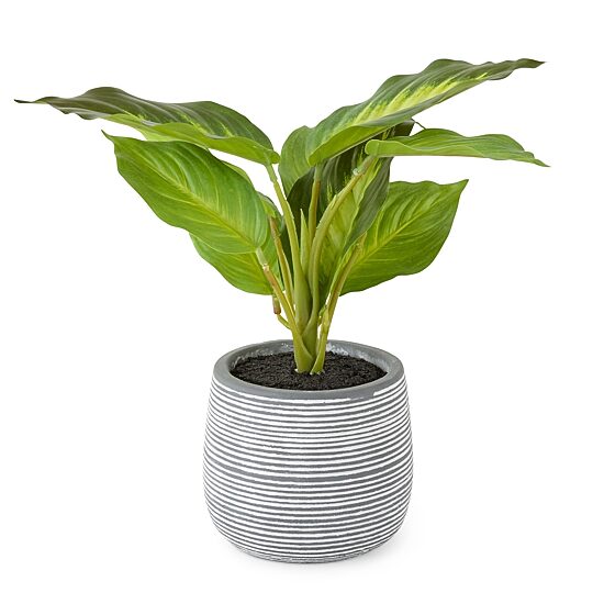 Linden Street 10in Golden Pothos Artificial Plant
