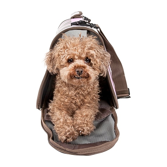 Pet Life ® Airline Approved Folding Zippered Sporty Cage Pet Carrier