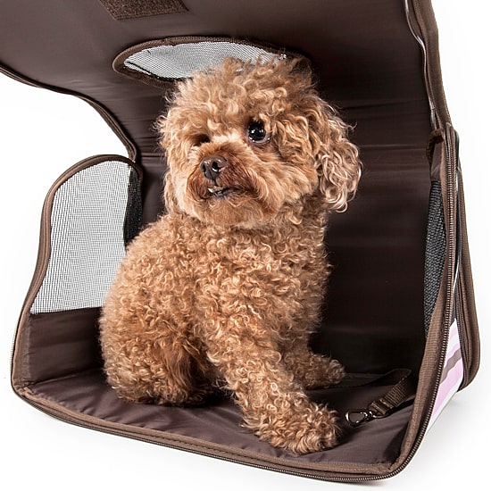 Pet Life ® Airline Approved Folding Zippered Sporty Cage Pet Carrier