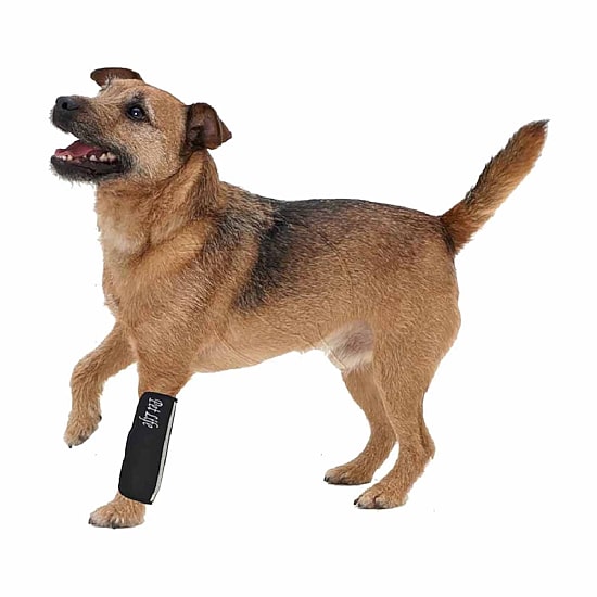 The Pet Life Extreme-Neoprene Joint Protective Reflective Pet Sleeves
