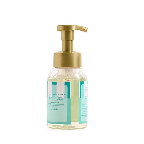 Distant Lands 8 oz. Coconut Lagoon Foaming Hand Soap
