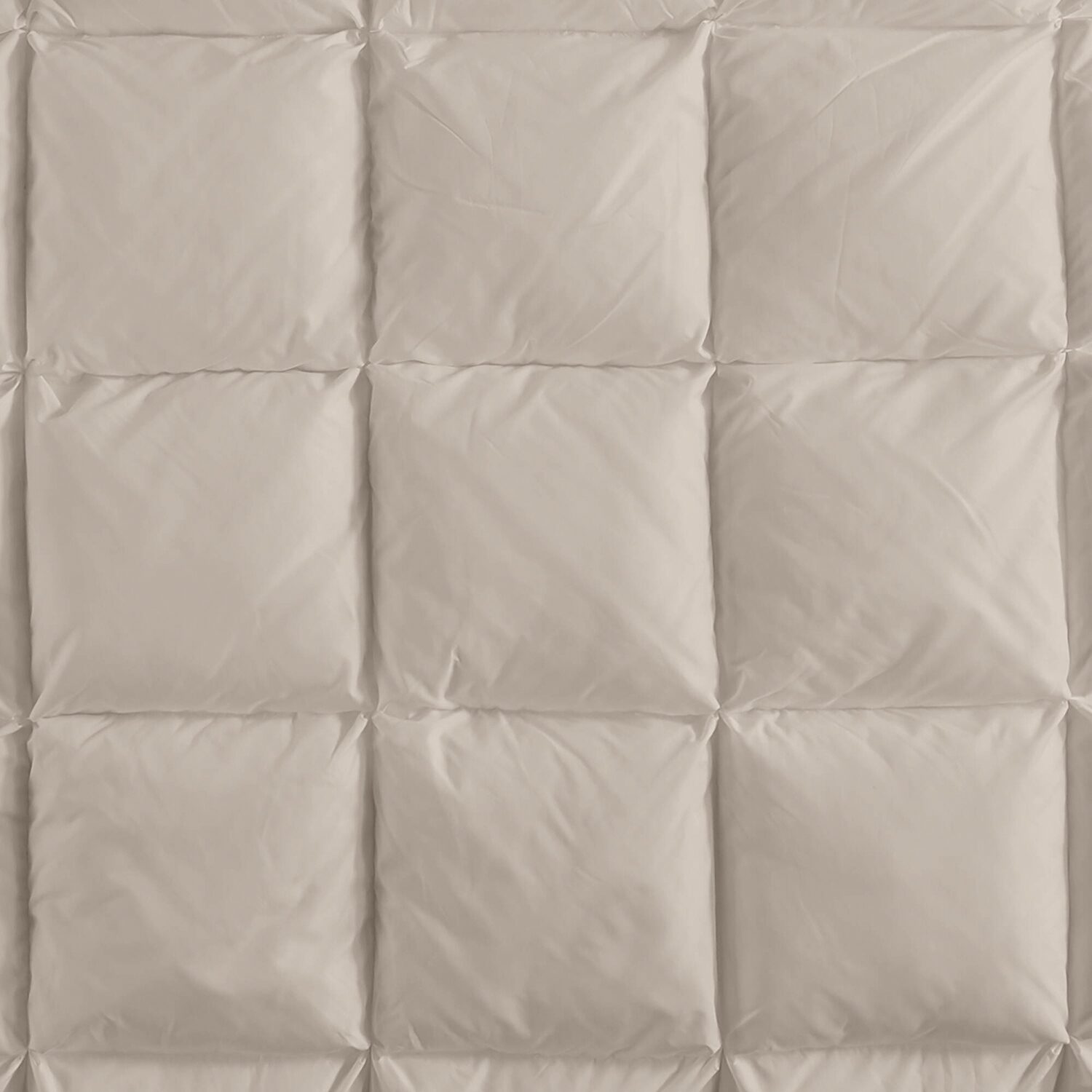 Madison Park Pillow Protector