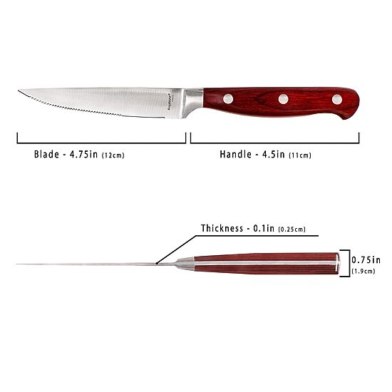 BergHOFF Pakka Wood Stainless Steel 15-pc. Carving Knife Set with Case