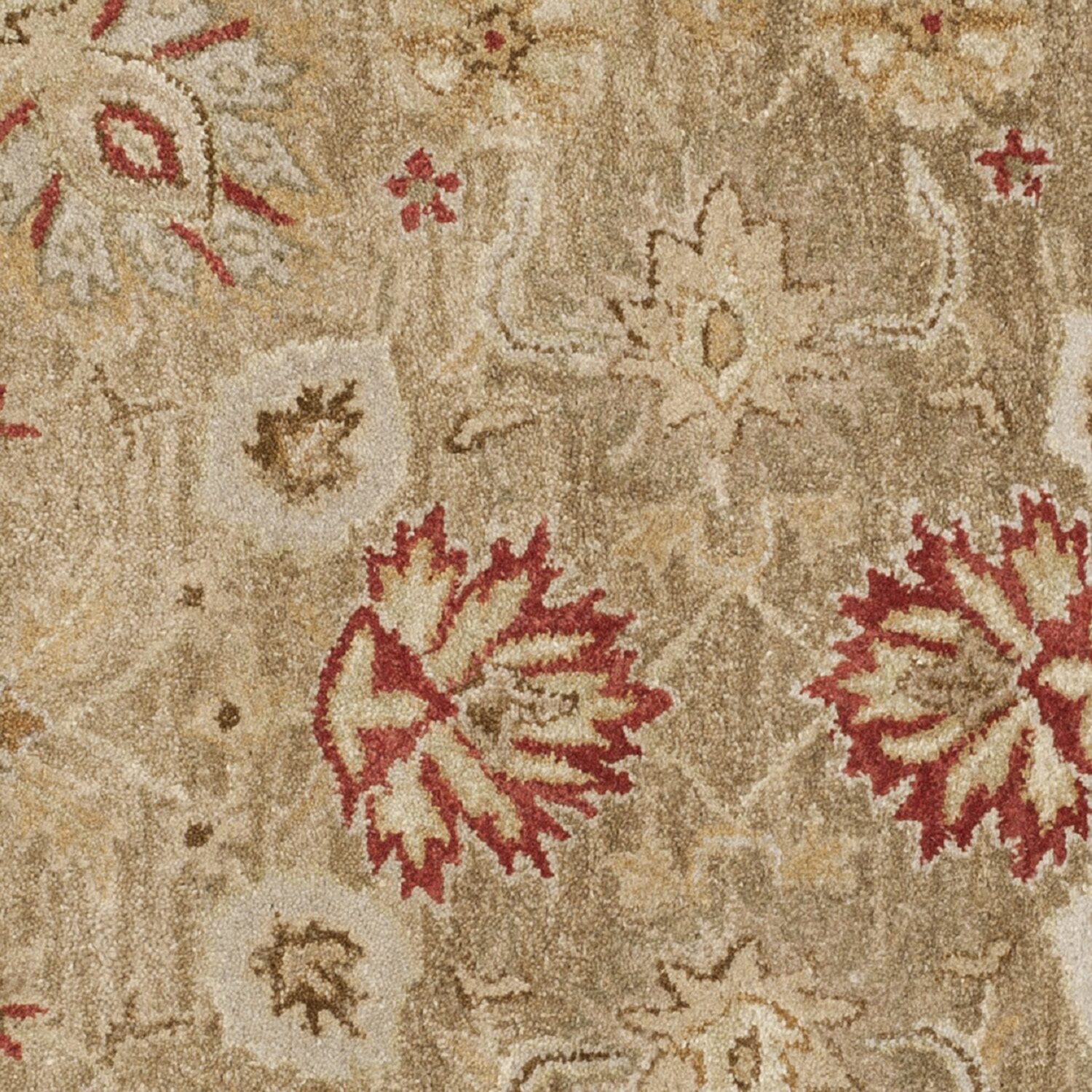 Safavieh Marshall Bordered Area Rug
