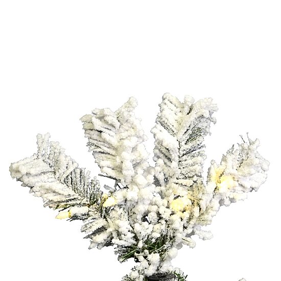  5.5' Prelit Flocked Pacific Pencil Christmas Tree