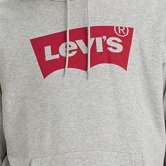 Levi’s® Men's T3 Graphic Crew Neck Long Hoodie