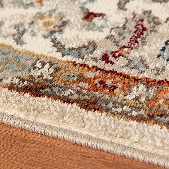 Amer Rugs Arlenu Addy Bordered Bordered Indoor Rectangular Accent Rug