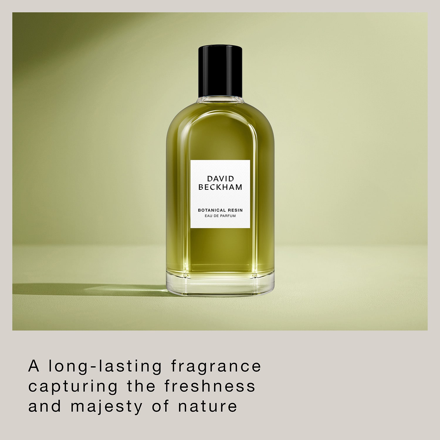 David Beckham Botanical Resin Eau De Parfum Exclusive to JCPenney