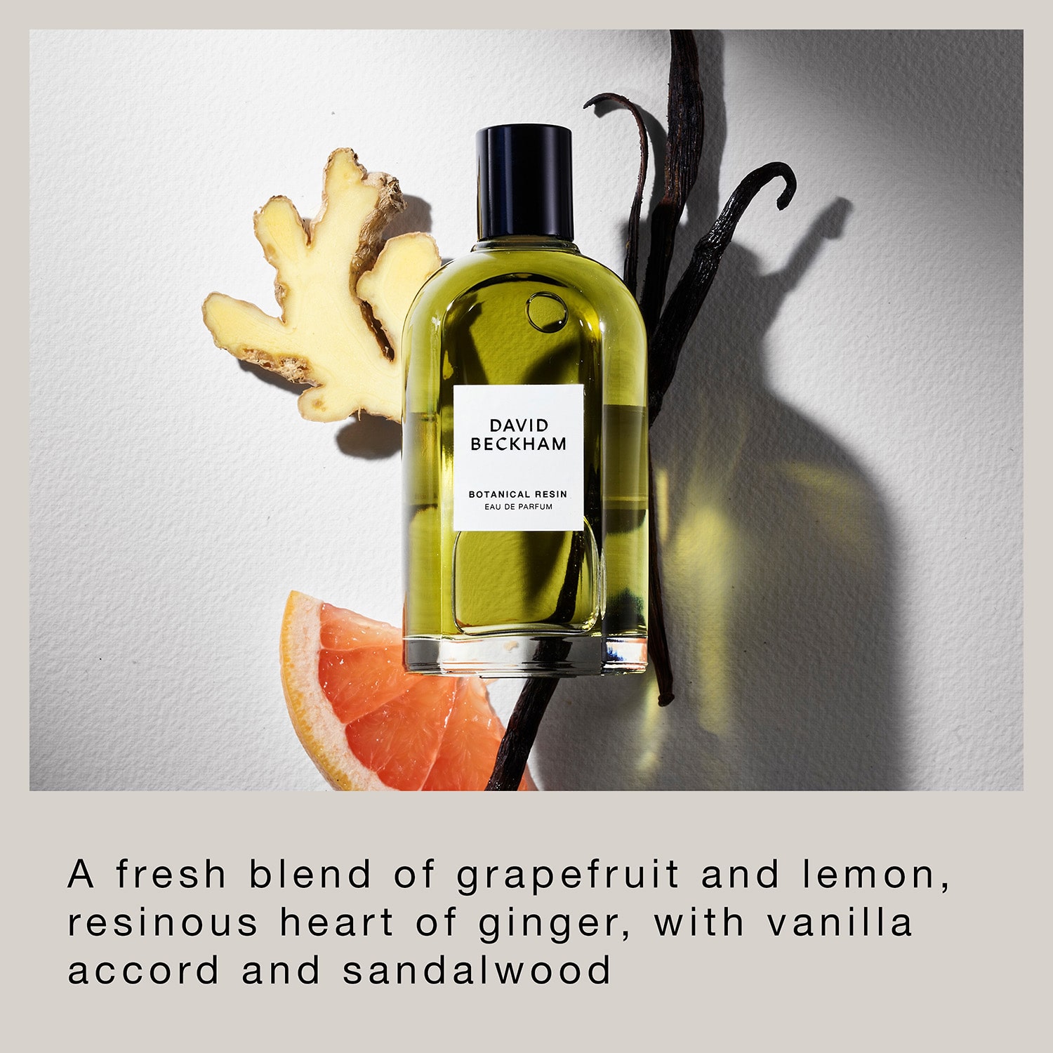 David Beckham Botanical Resin Eau De Parfum Exclusive to JCPenney