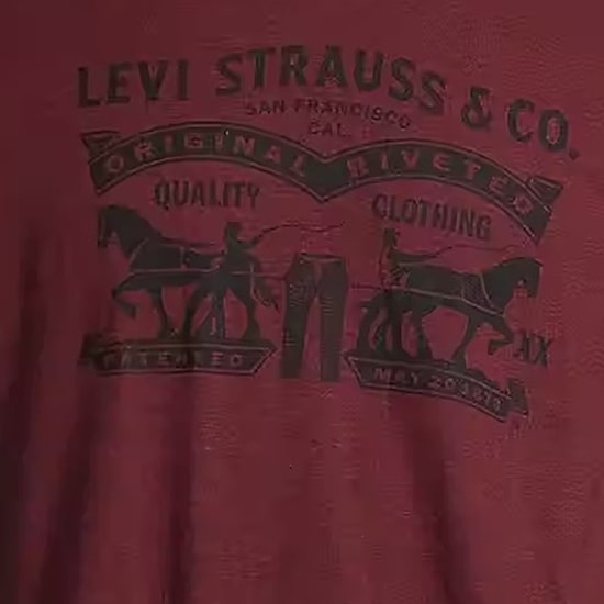 Levi's® Vellum Mens Crew Neck Short Sleeve Regular Fit Graphic T-Shirt