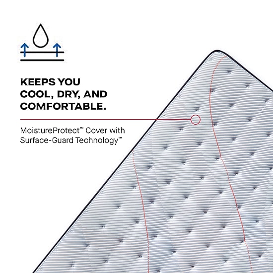 Sealy Posturepedic Greer 13" Plush Tight Top - Mattress + Box Spring