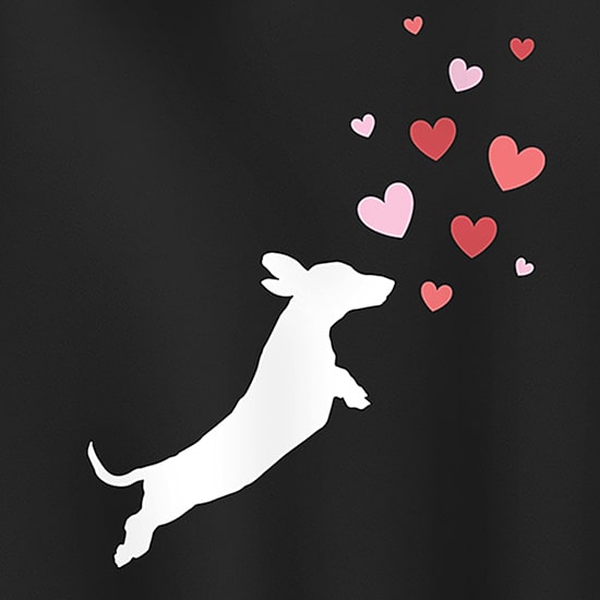 Dachsund Hearts Womens Long Sleeve Hoodie