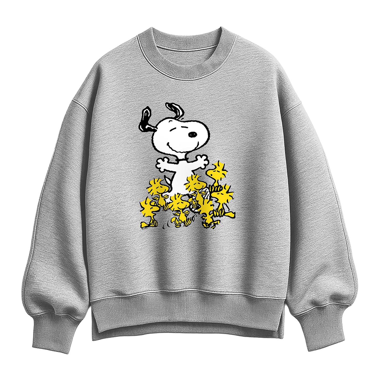 Snoopy And Woodstock Womens Crew Neck Long Sleeve Peanuts Sweatshirt