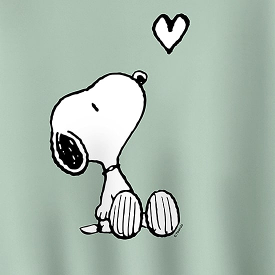 Womens Crew Neck Long Sleeve Snoopy Sweatshirt