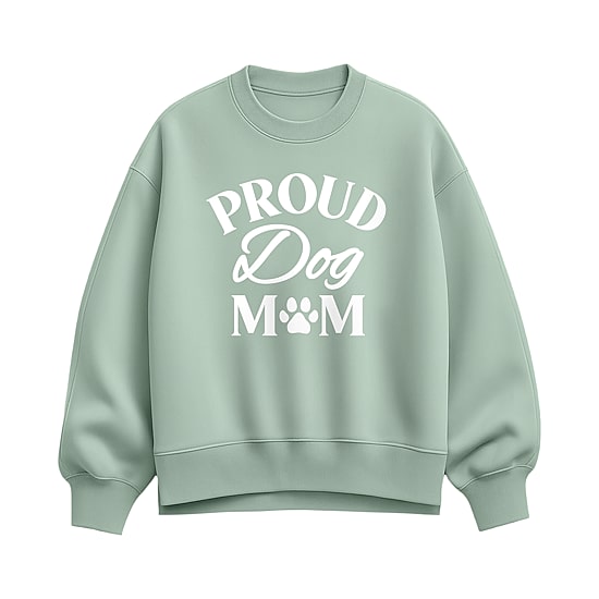 Womens Crew Neck Long Sleeve Pullover Sweater