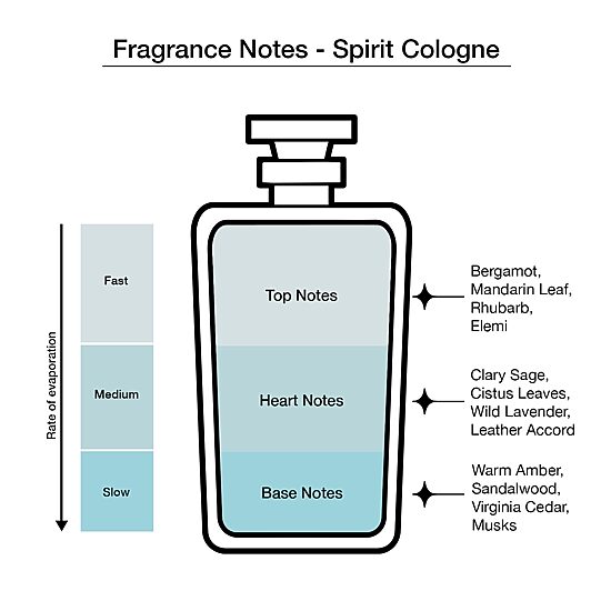 Stetson Omni Eau De Toilette 3-Pc Gift Set ($45 Value)