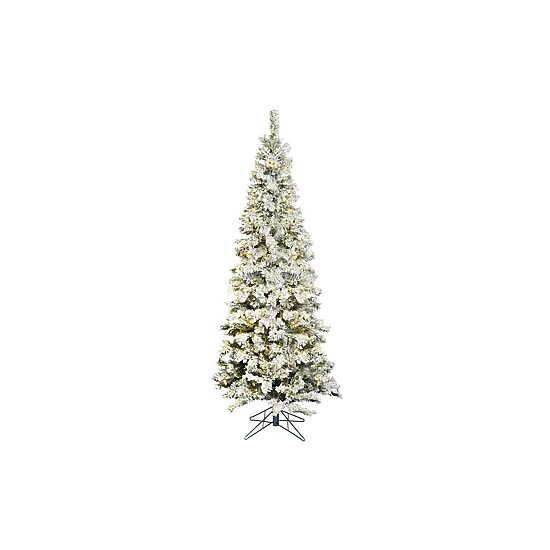 5.5' Prelit Flocked Pacific Pencil Christmas Tree