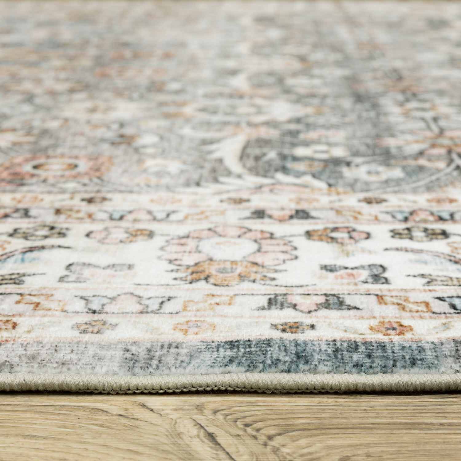 Covington Home Savannah Persian Inspired Indoor Rectangular Accent Rug