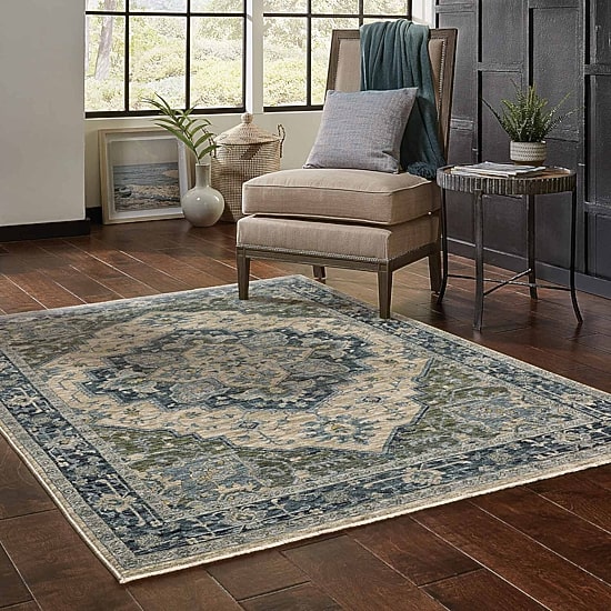Covington Home Adeline Center Medallion Indoor Rectangular Area Rug