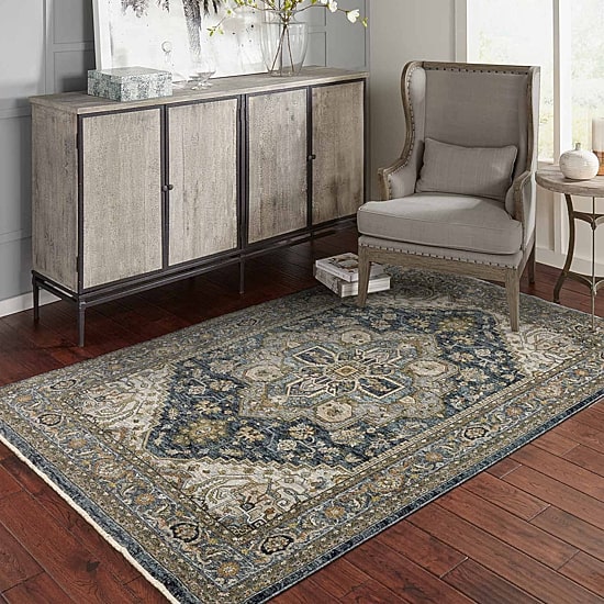 Covington Home Adeline Oriental Medallion Indoor Rectangular Accent Rug