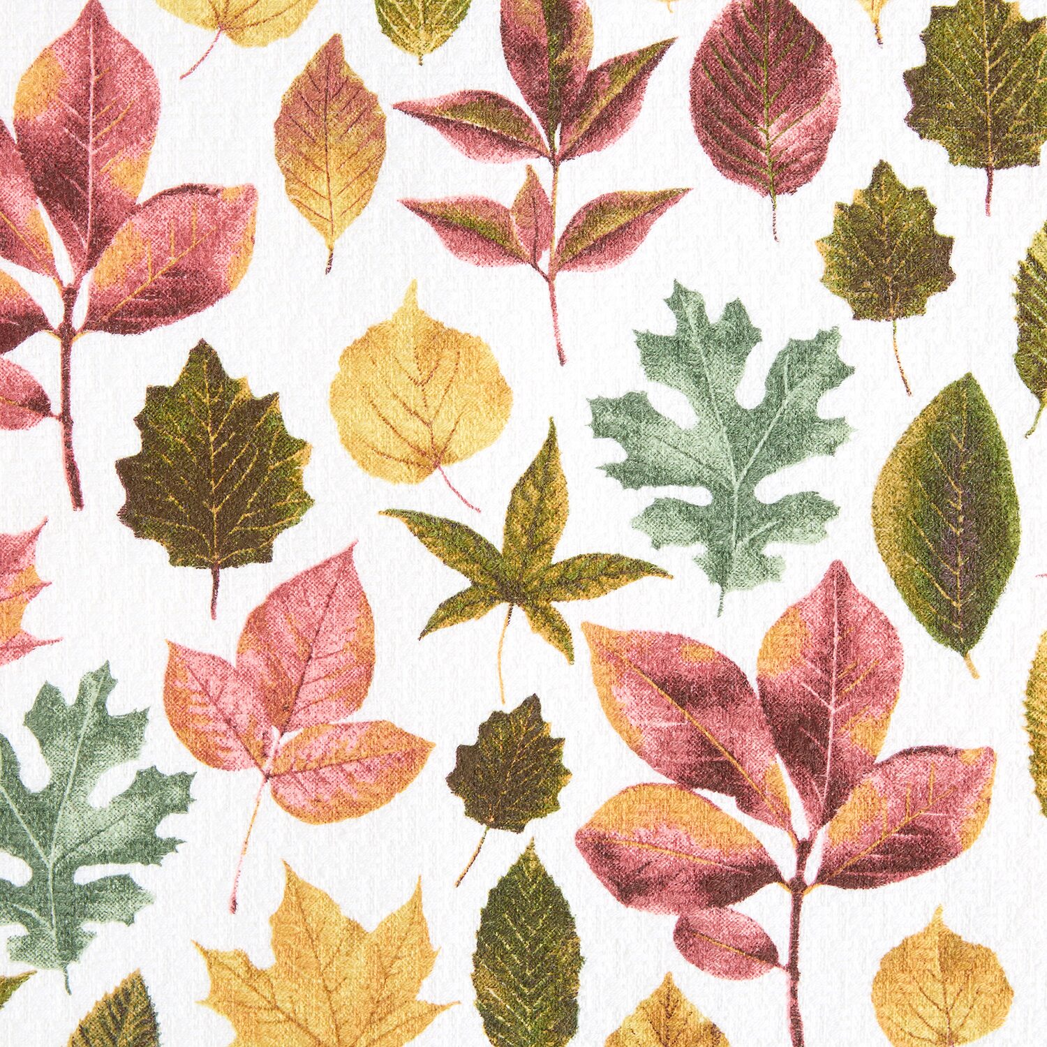 Martha Stewart Autumn Harvest Leaves Kitchen Towel Set