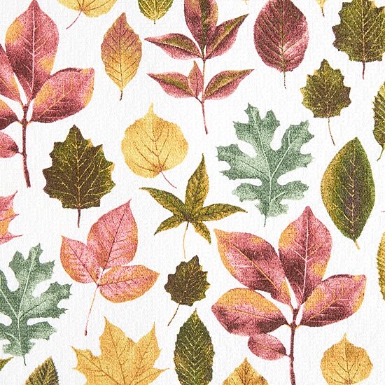 Martha Stewart Autumn Harvest Leaves Kitchen Towel Set