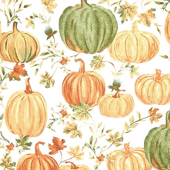 Martha Stewart Autumn Harvest Pumpkins 3-pc. Kitchen Towel Set