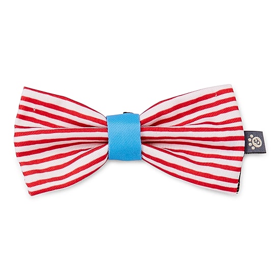 Paw & Tail Striped Dog Bowtie