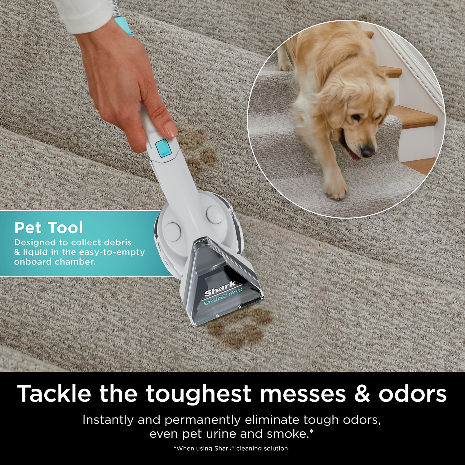 Shark Stain Striker Carpet Cleaner Handheld Vacuum