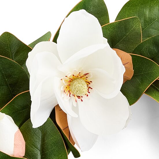 Linden Street Magnolia Wreath