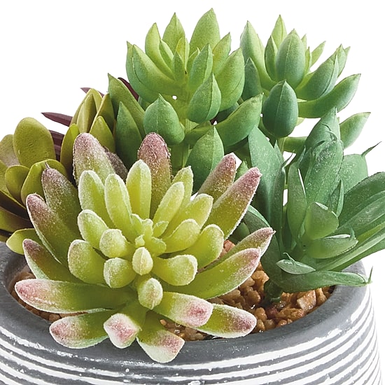 Linden Street 6in Mixed Succulent Artificial Plant