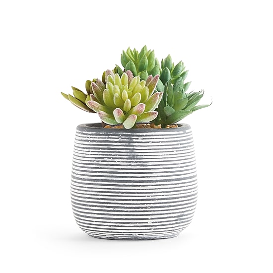 Linden Street 6in Mixed Succulent Artificial Plant