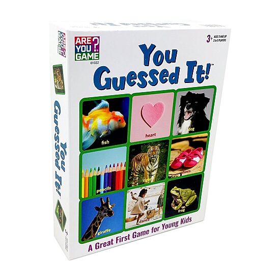 Areyougame.Com You Guessed It! Card Game