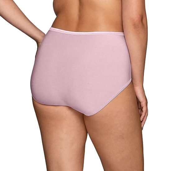 Vanity Fair Womens Brief Panty 13109