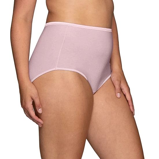 Vanity Fair Womens Brief Panty 13109